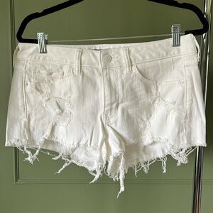 Express Shorts - Stretch